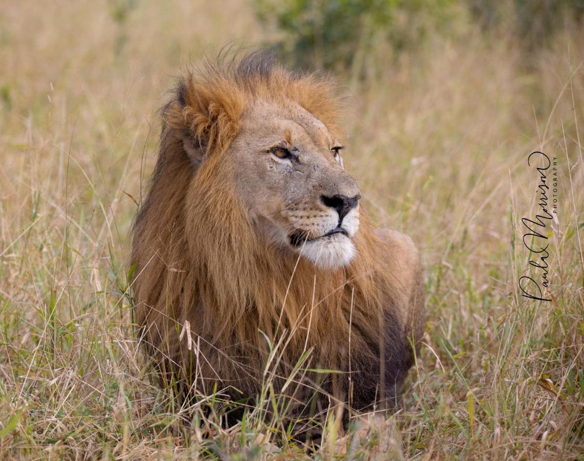 Sungulwane Private Game Lodge Hluhluwe Bagian luar foto