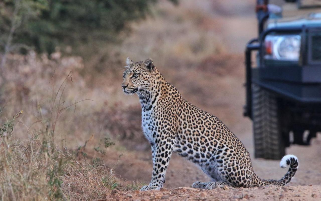 Sungulwane Private Game Lodge Hluhluwe Bagian luar foto