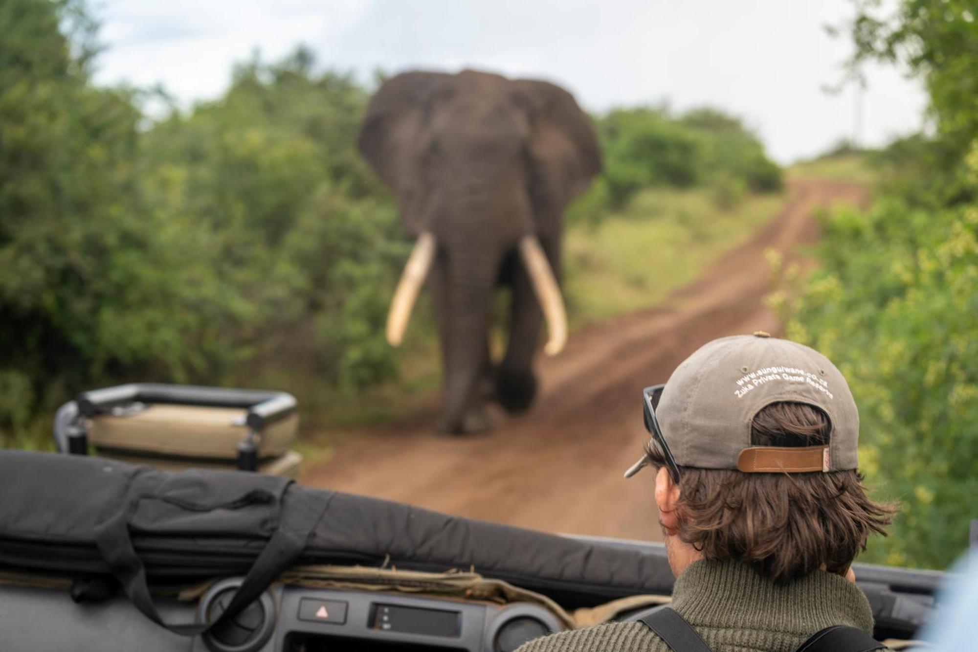 Sungulwane Private Game Lodge Hluhluwe Bagian luar foto